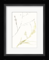 Under Sea Forest IX Framed Print