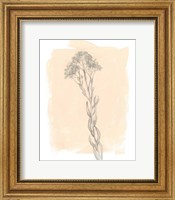 Branch on Blush I Fine Art Print