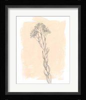 Branch on Blush I Framed Print