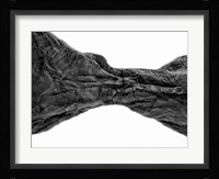 Desert Arches V Framed Print