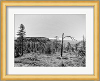 Canyon Lands V Fine Art Print