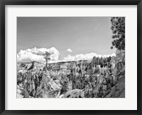 Canyon Lands VI Fine Art Print