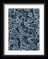 Affix III Framed Print