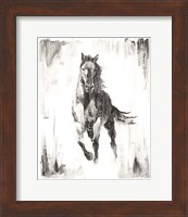 Rustic Black Stallion II Fine Art Print
