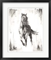 Rustic Black Stallion II Framed Print
