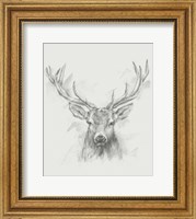 Contemporary Elk Sketch I Fine Art Print