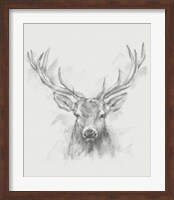 Contemporary Elk Sketch I Fine Art Print