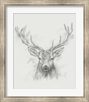 Contemporary Elk Sketch I Fine Art Print