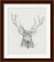 Contemporary Elk Sketch II Fine Art Print