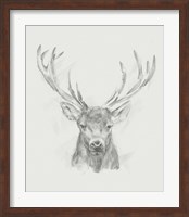 Contemporary Elk Sketch II Fine Art Print