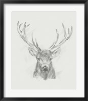 Contemporary Elk Sketch II Framed Print