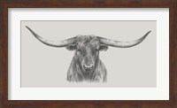Longhorn Bull Fine Art Print