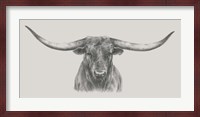 Longhorn Bull Fine Art Print