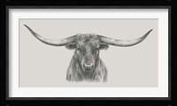 Longhorn Bull Fine Art Print