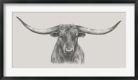 Longhorn Bull Fine Art Print