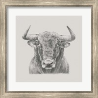 Black & White Bull Fine Art Print