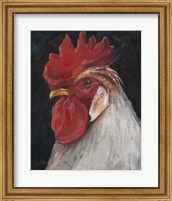 Rooster Portrait II Fine Art Print