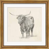 Longhorn Steer Sketch I Fine Art Print