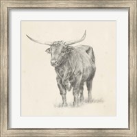 Longhorn Steer Sketch I Fine Art Print
