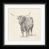 Longhorn Steer Sketch I Framed Print
