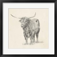 Longhorn Steer Sketch I Framed Print