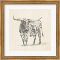 Longhorn Steer Sketch II Fine Art Print