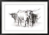 Contemporary Cattle II Fine Art Print
