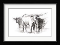 Contemporary Cattle II Framed Print