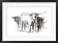 Contemporary Cattle II Fine Art Print