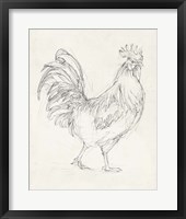 Rooster Sketch I Framed Print