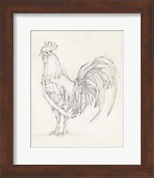 Rooster Sketch II Fine Art Print