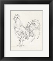 Rooster Sketch II Fine Art Print