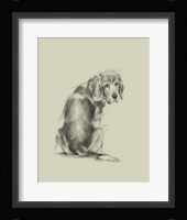 Puppy Dog Eyes I Framed Print