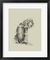 Puppy Dog Eyes I Framed Print