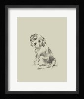 Puppy Dog Eyes III Framed Print