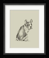 Puppy Dog Eyes IV Framed Print