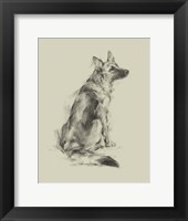 Puppy Dog Eyes V Fine Art Print