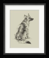 Puppy Dog Eyes V Framed Print