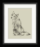 Puppy Dog Eyes VI Framed Print