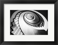 Parrot Staircase  Black/White Fine Art Print