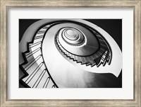 Parrot Staircase  Black/White Fine Art Print