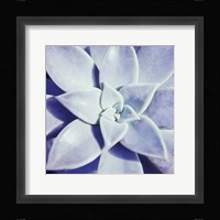 Ultra Violet I Framed Print