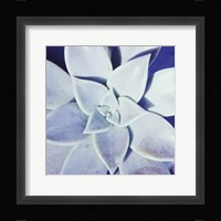 Ultra Violet II Framed Print