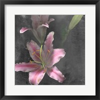 Fleur de Lys I Framed Print