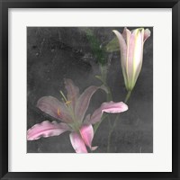 Fleur de Lys II Framed Print