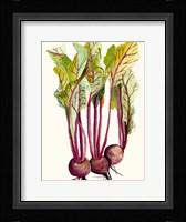 Early Harvest II Framed Print