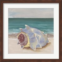 She Sells Seashells I Fine Art Print
