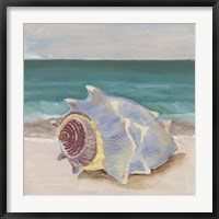 She Sells Seashells I Fine Art Print