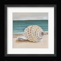 She Sells Seashells II Framed Print