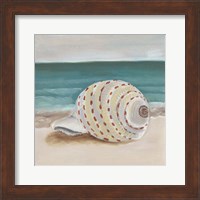 She Sells Seashells II Fine Art Print